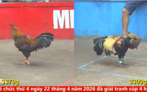 trải nghiệm 1 cách chân thật và sóng động nhất tại bj72