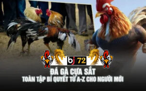trãi nghiệm đá gà thono đỉnh cao tại bj72