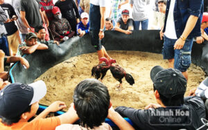 trãi nghiệm đỉnh cao tại trang chủ bj72 